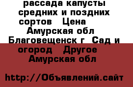 рассада капусты средних и поздних сортов › Цена ­ 50 - Амурская обл., Благовещенск г. Сад и огород » Другое   . Амурская обл.